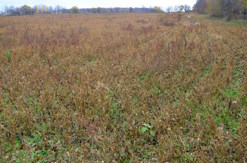 Property photo 53 - 80 Acres & Home - Property Offered in 4 Tracts from 2.3 to 30.0 Acres